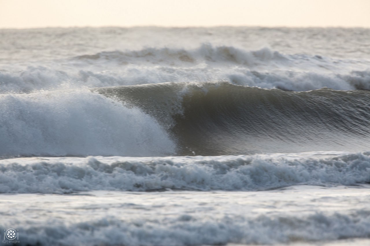 Home - Surf South Padre